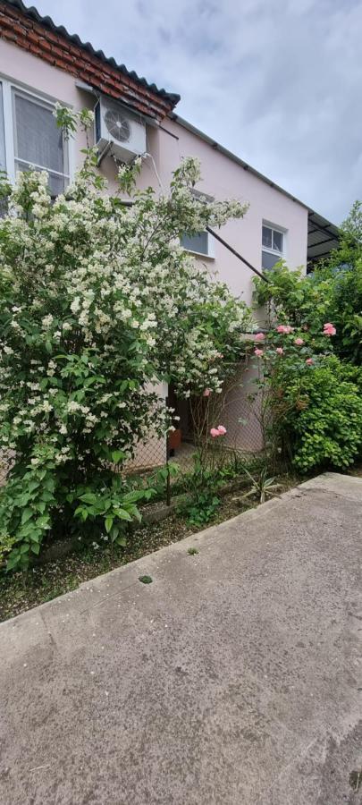 Guest House Mushmula New Athos 외부 사진